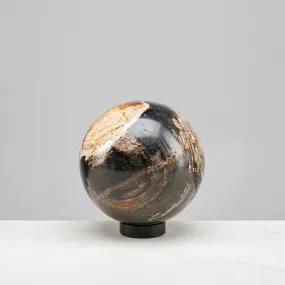 5 Black Petrified Wood Sphere