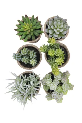 Faux Succulents in Paper Pots