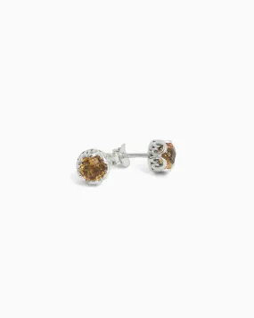 Princess Petroglyph Stone Studs - Citrine