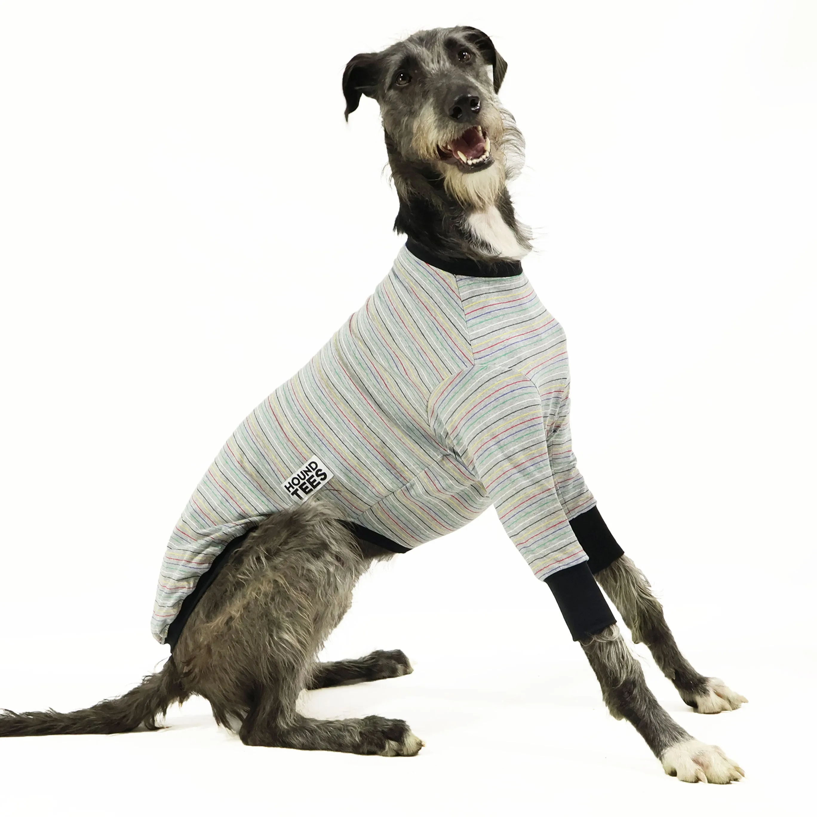 Skipping Stones Greyhound Long Sleeve Hound-Tee